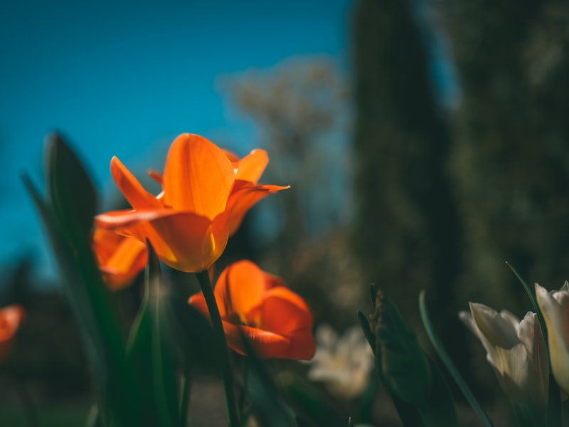 Construction quality control